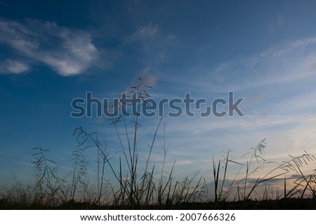 evening sky with clouds shadow of the meadow