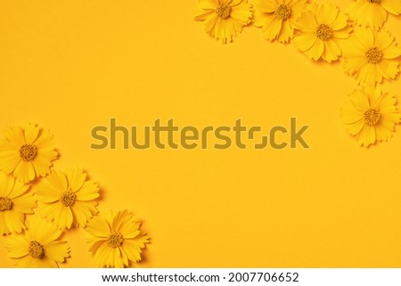 Frame for congratulations, invitations, messages, business cards, logo with yellow chamomile. Daisy on a bright yellow background. Flat lay