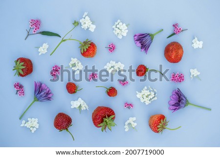 Pattern from petals, flowers and berries on a light blue background. Top view. Concept of Mother's Day, March 8, summer flourish