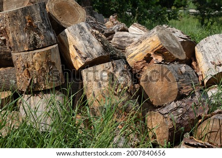 felled logs along the road on the grass. Logging deforestation concept. Problems of deforestation for lumber