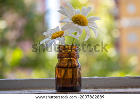 Medicinal herbs in bottles. chamomile oil extract. Selective focus. Nature.