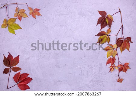 fallen red and yellow leaves on a concrete background