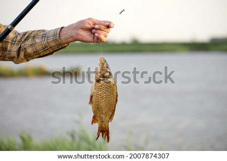Caught fish hanging on fishing rod close-up photo, lake in the background, outdoors. focus on fish. hobby, activity, leisure, fishing concept. copy space Royalty-Free Stock Photo #2007874307