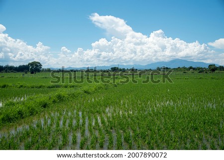 Rice fields, mountains and skies in Asia