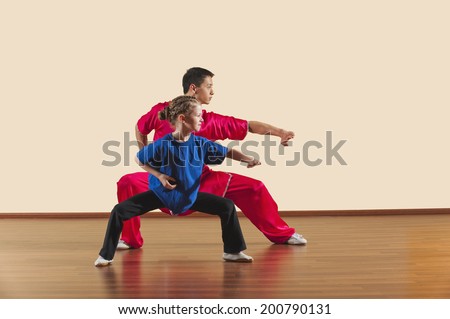Kung Fu, Changquan, Mabu anzhang, Long Fist Style, Kung Fu instructor and girl Royalty-Free Stock Photo #200790131