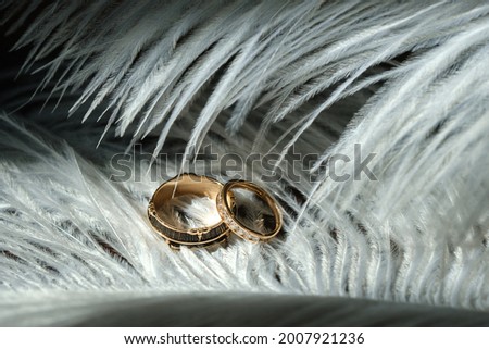 Two wedding rings lie in white feathers. The concept of love.