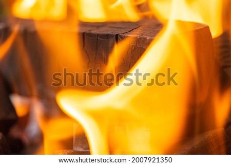 lighting a fire, flame, a warm fireplace with lots of trees ready for barbecue, burning firewood, wood. Selective focus. Close view. The concept of fire, burning