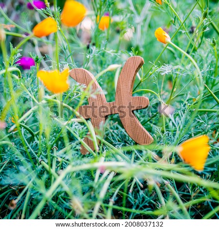 Pisces symbol resting in yellow flowers