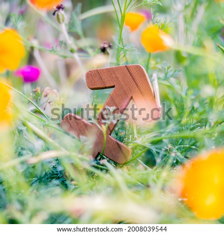Close up of the Sagittarius astrological sing in a bed of flowers