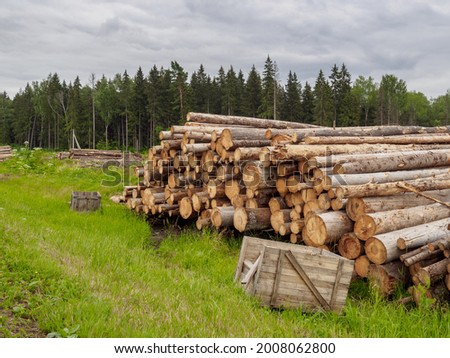 The sawn trunks of pine and birch lie in a large pile in summer in cloudy weather against the background of the forest