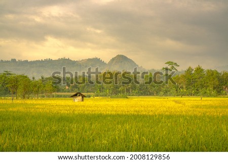 Landscape of House and Field