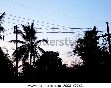 Silhouette, Coconut Tree With Sky, County...,