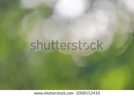 Nature abstract Blurred Leaf background with sunshine light