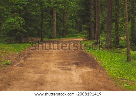 Beautiful empty path through a forest in forest. Rural landscape in summer, Europe banner of beautiful empty dirt road in green forest in summer.cloudy warm day. Natural background.
