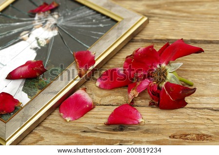 wilted rose and broken wedding picture