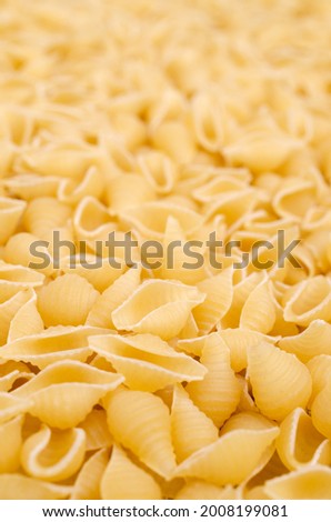 Dry shell pasta on a textile background. Top view. Copy space.