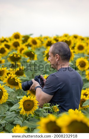a professional photographer taking pictures in a sunflower plantation