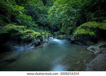Tropical landscape. River in rainforest. Water flow. Green plants. Soft focus. Slow shutter speed, motion photography. Nature background. Environment concept. Horizontal layout. Bangli, Bali Indonesia