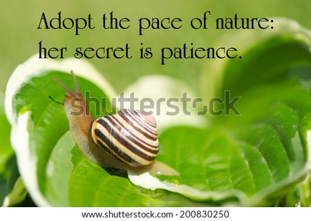 Inspirational quote on nature by Ralph Waldo Emerson, on a closeup image of a little snail gently making its way through life.