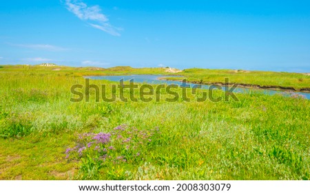 Nature reserve of a tidal inlet at the North Sea coast under a bright blue white cloudy sky in summer, the Zwin, Flanders, Belgium, July 2021 