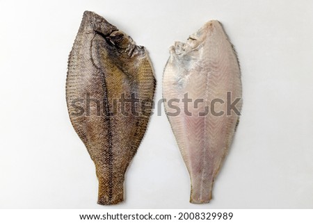 flat fish on a white background