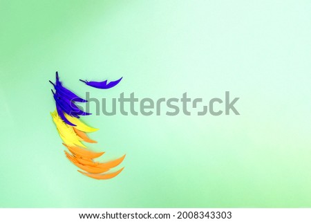 The feathers are blue, orange and yellow on a turquoise background. Mock up for the banner. Copy space.