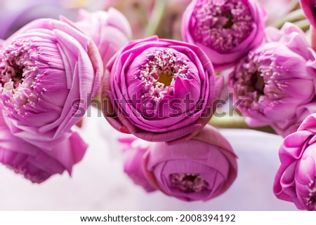 A large pink lotus flower decorates the flower beautifully, focusing on the center.