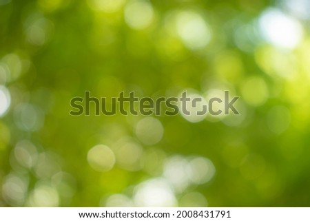Green light bokeh nature background.Abstract blur green color for background,Abstract green bokeh background.