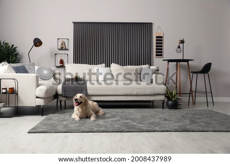 Adorable Golden Retriever dog in living room Royalty-Free Stock Photo #2008437989