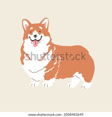 Welsh corgi dog. Vector illustration. Flat style. Isolated on light background. Fanny animals, doglover, breads, home pats, four-legged friend. Design for pins, stickers, zoo, pet shop.