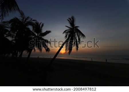 silhouette of palm trees at the beach in Muscat city in OMan 