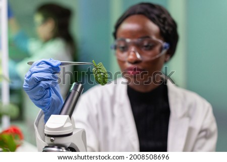 Botanist taking leaf sample from petri dish discovering biological genetic mutation for pharmaceutical experiment. Scientist chemist working in biochemistry lab analyzing organic agriculture. Royalty-Free Stock Photo #2008508696