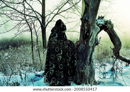                    A medieval cloaked woman standing by dead tree in winter hoar frost. Creative ghostly colors.  Witch theme.       Royalty-Free Stock Photo #2008550417