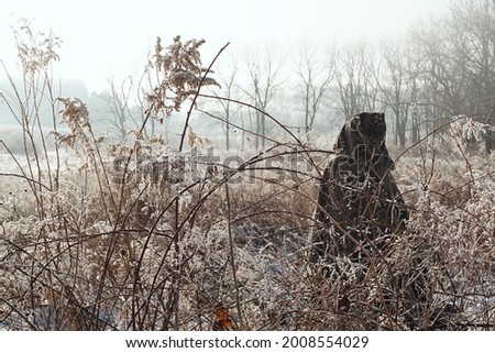         A medieval cloaked woman looking at early morning sunrise in winter hoar frost. Creative colors. Royalty-Free Stock Photo #2008554029