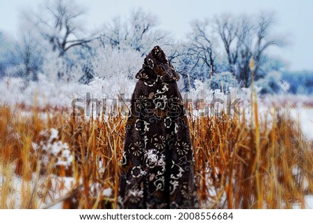  A medieval cloaked woman looking at marshland in winter hoar frost. Creative colors. Gaussian blurred vignette. Royalty-Free Stock Photo #2008556684