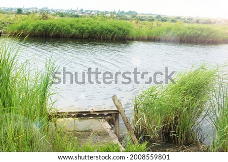 Fishing wooden bridge on the background of a pond, reeds on a sunny day. Wildlife. Countryside holiday concept, fishing day, fishing background. Scouting fishing holes.