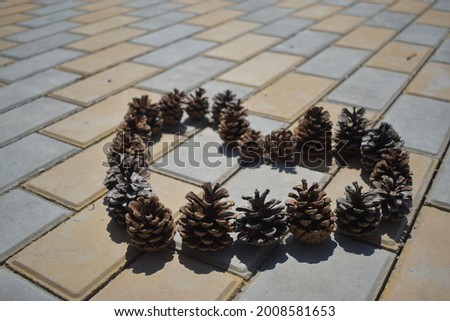 A love sign in the form of a heart lined with bicolored pine cones