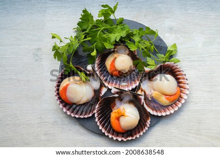 top view of natural scallops Royalty-Free Stock Photo #2008638548