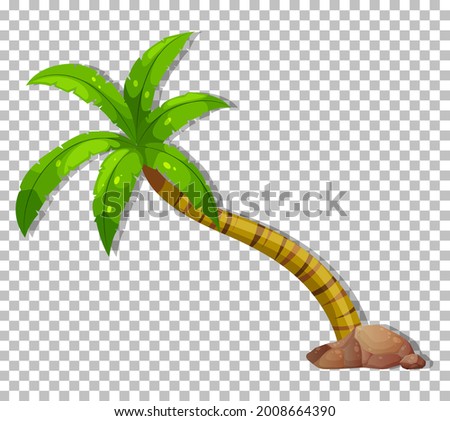 Palm tree on transparent background illustration
