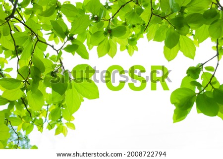 a banner image of CSR