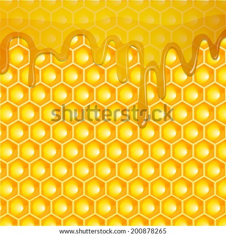 Honeycomb with honey. Vector background.