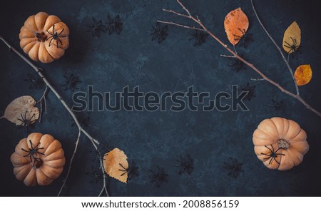 Halloween grunge dark blue holiday background, pumpkins, black spiders, dry branches and orange leaves decorations. Autumn composition frame, party invitation card, flat lay, copy space.