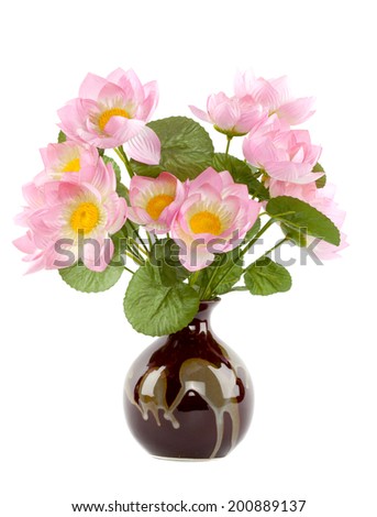 lotus flowers in vase  isolated white background