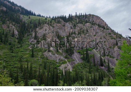 Mountains with forest and storm clouds