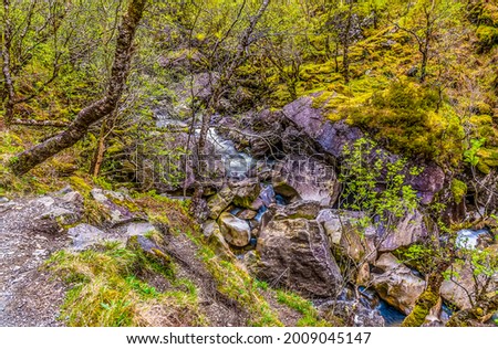A mountain stream descends on the slopes of Ben Nevis, Scotland on a summers day