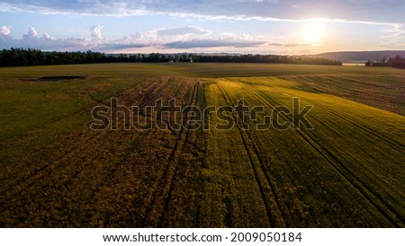 view of a farm field on a quiet, summer early evening in the Czech Republic