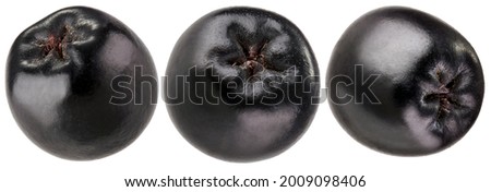 Aronia, chokeberry isolated on white background Royalty-Free Stock Photo #2009098406