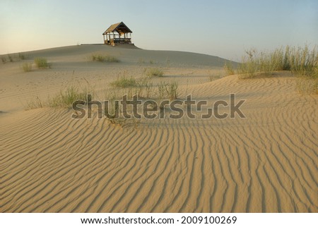 a lonely house on top of a grassy sand dune