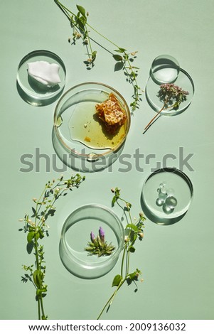 Abstract cosmetic laboratory. Chemical laboratory research. Nature cosmetics with honey. Royalty-Free Stock Photo #2009136032