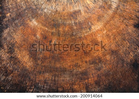 old wooden cutting board texture, close up view